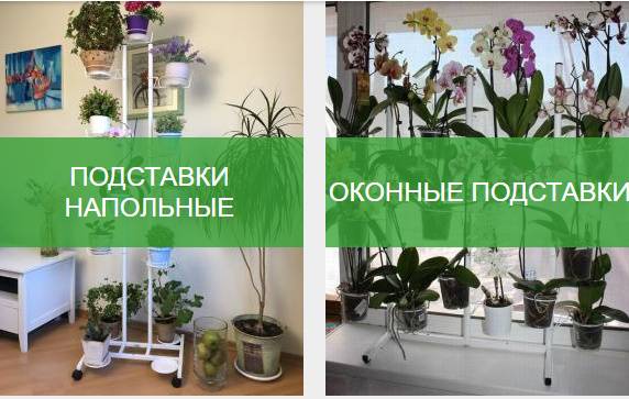 Зелёный арт-декор: подставки для растений